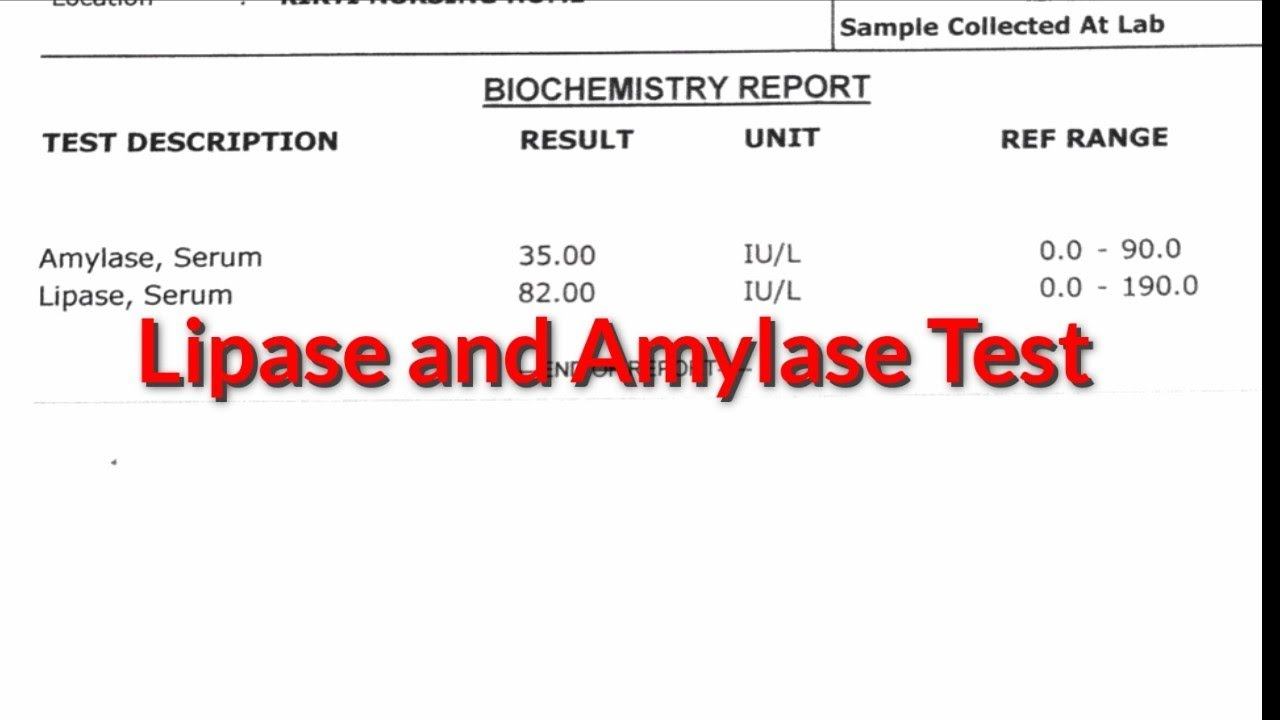 Lipase and Amylase test| pancreatitis| Pathology| #pathology #bloodisorder смотреть онлайн