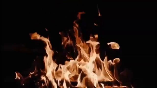 Поэтическая Псалтирь. Псалом 21 - 30. Чтение у камина смотреть онлайн