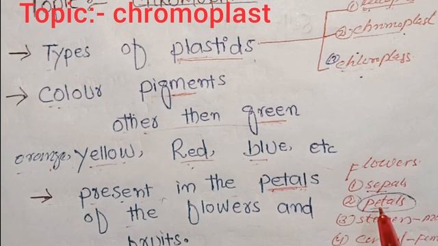 Chromoplast / Type's Of Plastids смотреть онлайн