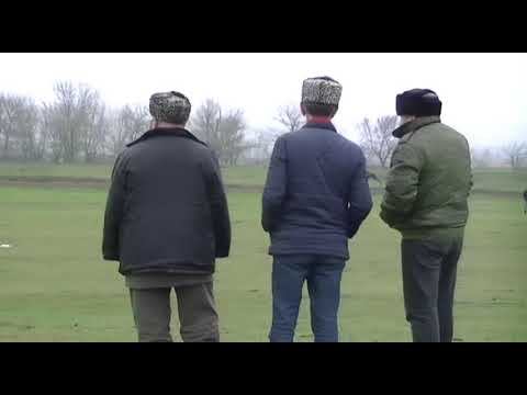 Скачки в Чеченской Республике, с Черленый. 5 заезд. 11км смотреть онлайн