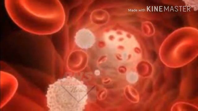 5 वां Blood Group /Golden Blood /RH Null Blood /Antigen/Antibody/ смотреть онлайн