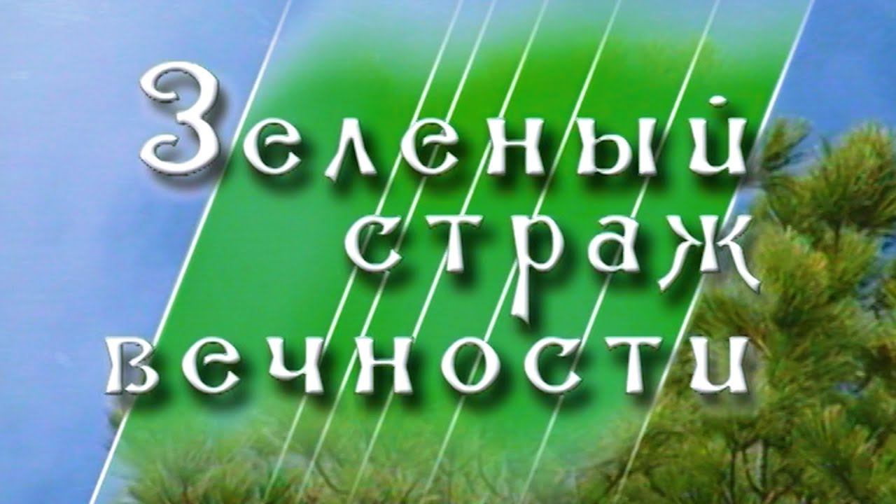 Полная оригинальная версия фильма. 2001 год смотреть онлайн