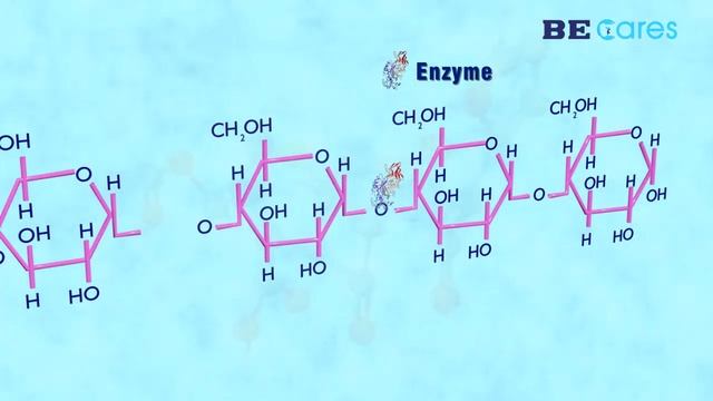 Mechanism of action of Alpha amylase and Papain in treating indigestion смотреть онлайн