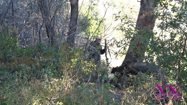 Hunting Sqirrels 2022 Yos Hav Zoov Tua Nas смотреть онлайн