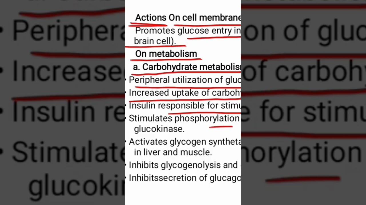 Insulin on carbohydrates смотреть онлайн
