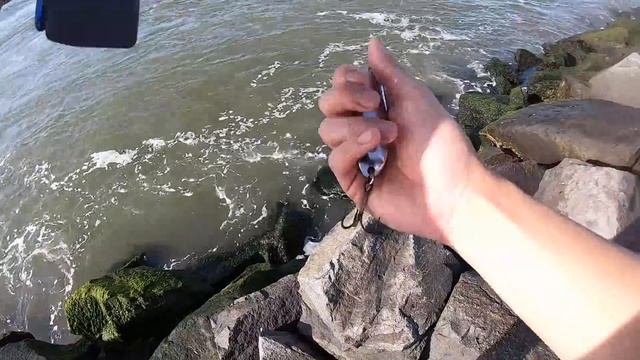 RESCUING an Ocean Fish from a ROCKBOUND CRYPT!!! (Beach Fishing Adventure) смотреть онлайн