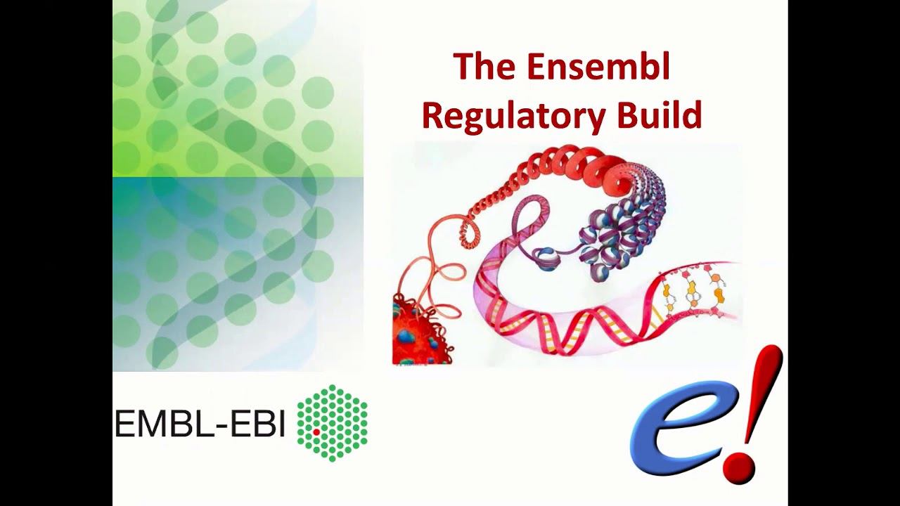 Virtual Workshop - The Ensembl Genome Browser - (2021): Webinar 5 - Regulation смотреть онлайн