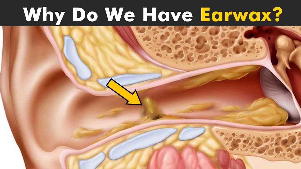 How Does Earwax Works? | Function Of Cerumen In Ears
