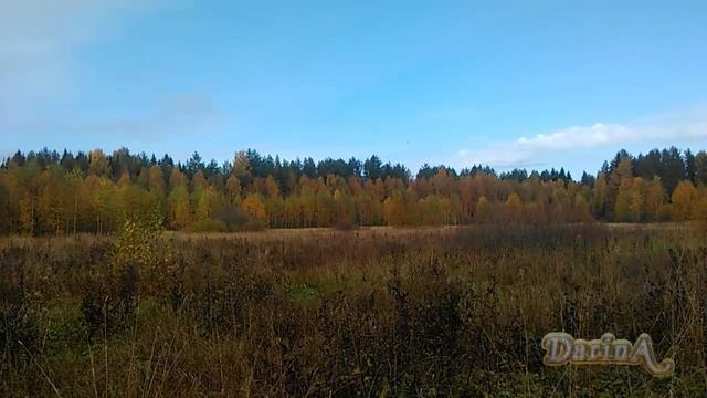 Краски осени смотреть онлайн