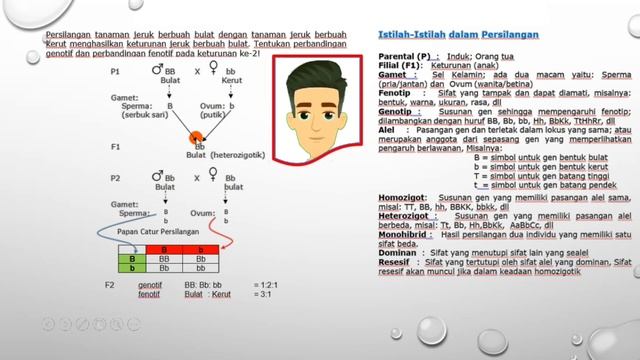 IPA Kalas 9: Pewarisan Sifat pada Makhluk Hidup ( Persilangan Monohibrid) смотреть онлайн