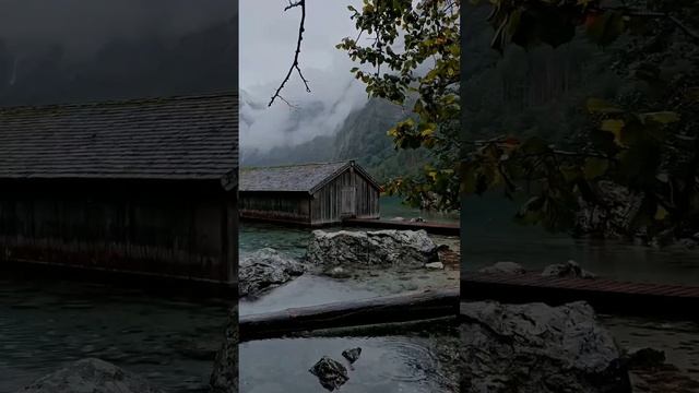 #shorts смотреть онлайн