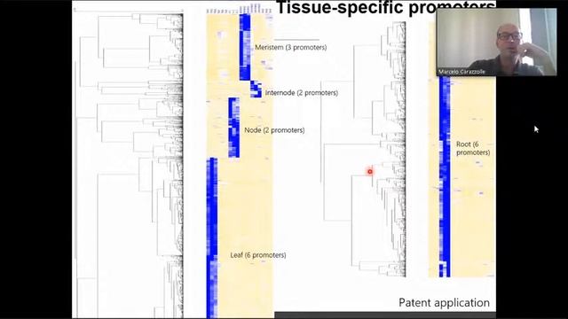 Aplicações da bioinformática na biotecnologia смотреть онлайн