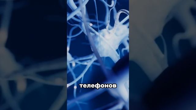 Что будет если есть изюм каждый день? #здоровье #здоровоепитание смотреть онлайн