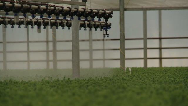 Manitoba Hydro - Syngas Demonstration Project смотреть онлайн
