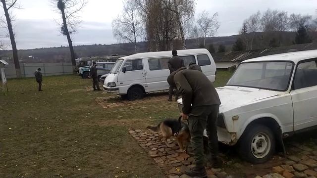 поиск ВВ на транспорте смотреть онлайн