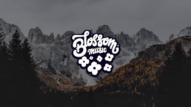 BLVK. - stolen loops [2020] смотреть онлайн