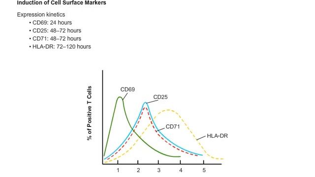 Induction of cell surface markers смотреть онлайн