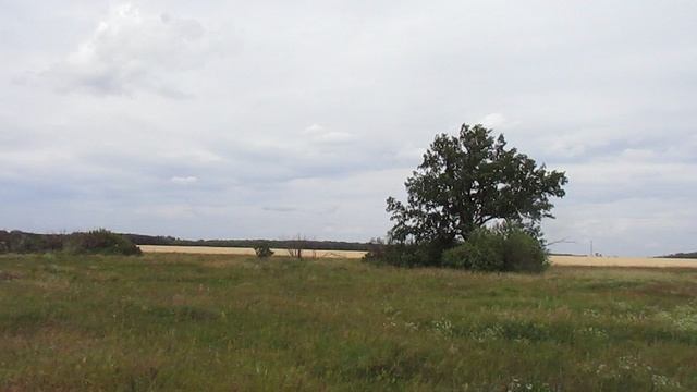 Исчезнувший посёлок Украинский (Малороссийский), Аткарский район.