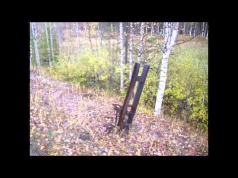 Сорда-Крутоборка