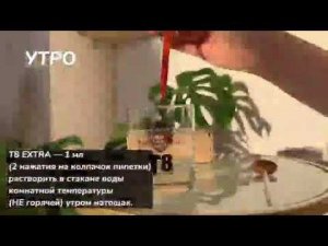 ЗАПУСТИТЕ РАБОТУ МИТОХОНДРИЙ НА 100%