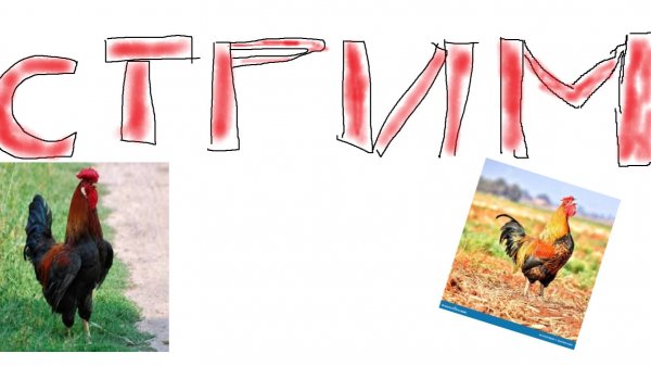 давно не было, но мы вернулись, вечерний стримок с azimuth