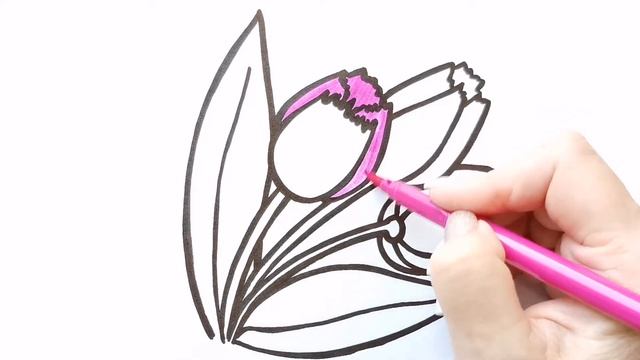 Как нарисовать ЦВЕТЫ ТЮЛЬПАНЫ / раскраска для детей / Нарисуй Ка смотреть онлайн