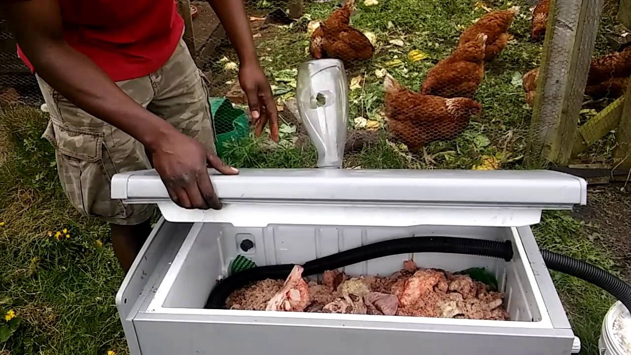 Maggots Farming (BSF): Recycle Materials to Feed Chickens смотреть онлайн