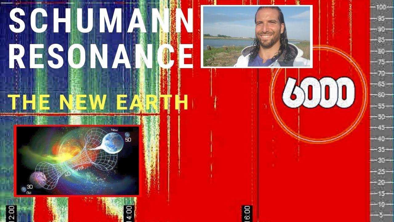 Schumann Resonance 6000 + THIS IS NOT A DRILL | 5D Earth timeline | Solar Flash #schumannresonance смотреть онлайн