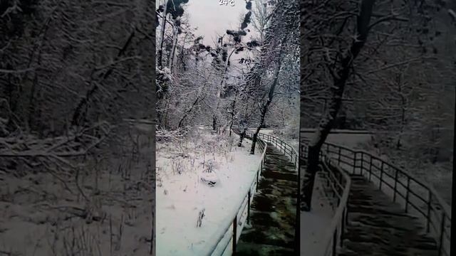 [Natalex] Зима со снегом и без, в декабре #shorts ...))) смотреть онлайн