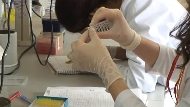 18 Amplification of DNA Fragment смотреть онлайн