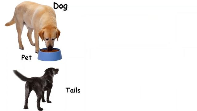 animals around us | EVS | class 2 | Unit 4 | Kalviyagam | TN Syllabus | Animals Around Us Class 2 смотреть онлайн