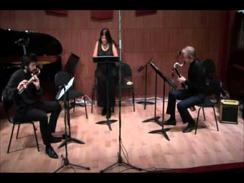 Adrian Mocanu - Reflections of quiet things (2015) for bass flute, bass clarinet and female voice смотреть онлайн