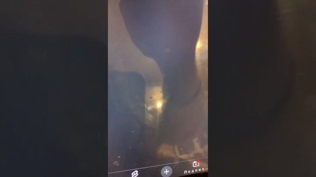 Прямая трансляция FanPlay Russia (roblox)