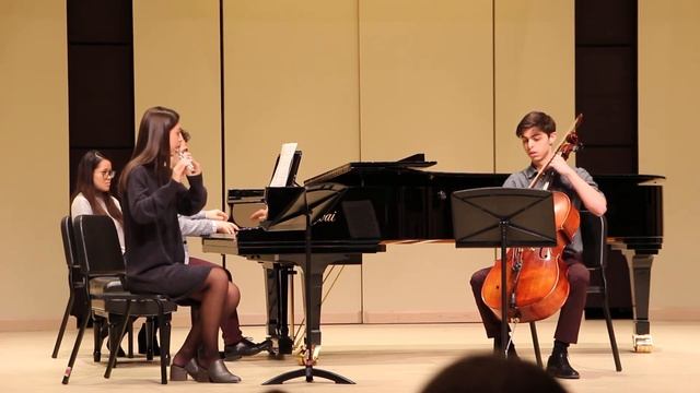 Trio Op. 78, Introduction, Theme and Variations I-VI by Hummel смотреть онлайн