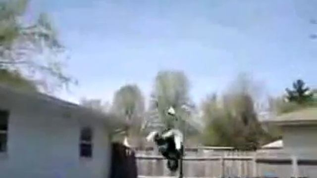 The ballistic trajectory of a shoe смотреть онлайн