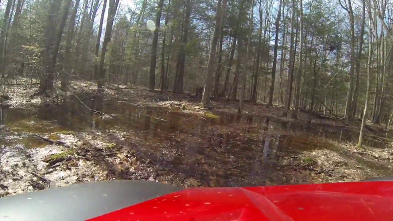 Muddy Puddles смотреть онлайн