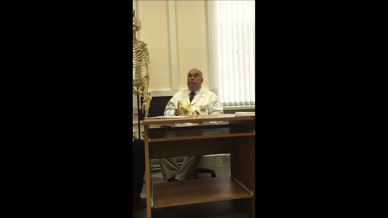 Topographic Anatomy, Lower Extremities - explanation Part 3 смотреть онлайн