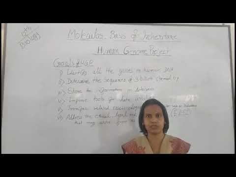 Class 12 | Biology | Molecular basis of inheritance Part-14 Topic - Human genome project смотреть онлайн