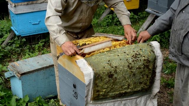 Медосбор на пасеке Ч2. (2020) смотреть онлайн