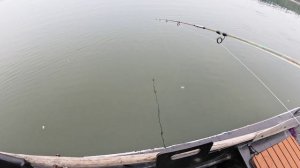 Обычная рыбалка на спиннинг возле деревни, ловим щук и окуней