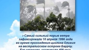 Познавательная программа «Могучая сила природы», посвящённая Всемирному дню ветра