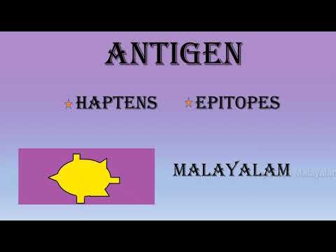 ANTIGEN | HAPTEN | EPITOPES | KPSC| SCIENTIFIC OFFICER (BIOLOGY) смотреть онлайн
