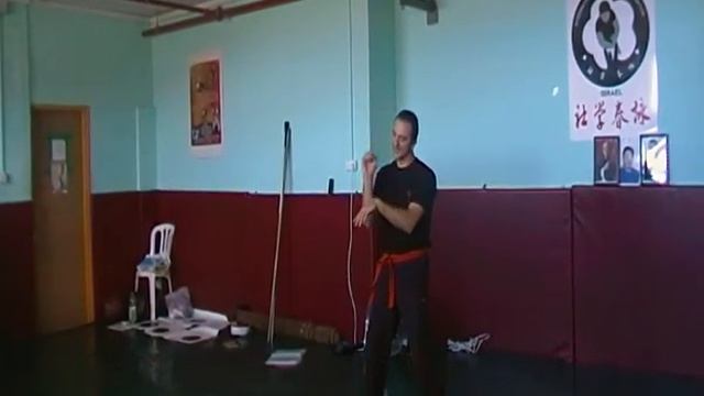 Wing Chun Israel - Sections of the structure and basic sticky hands смотреть онлайн