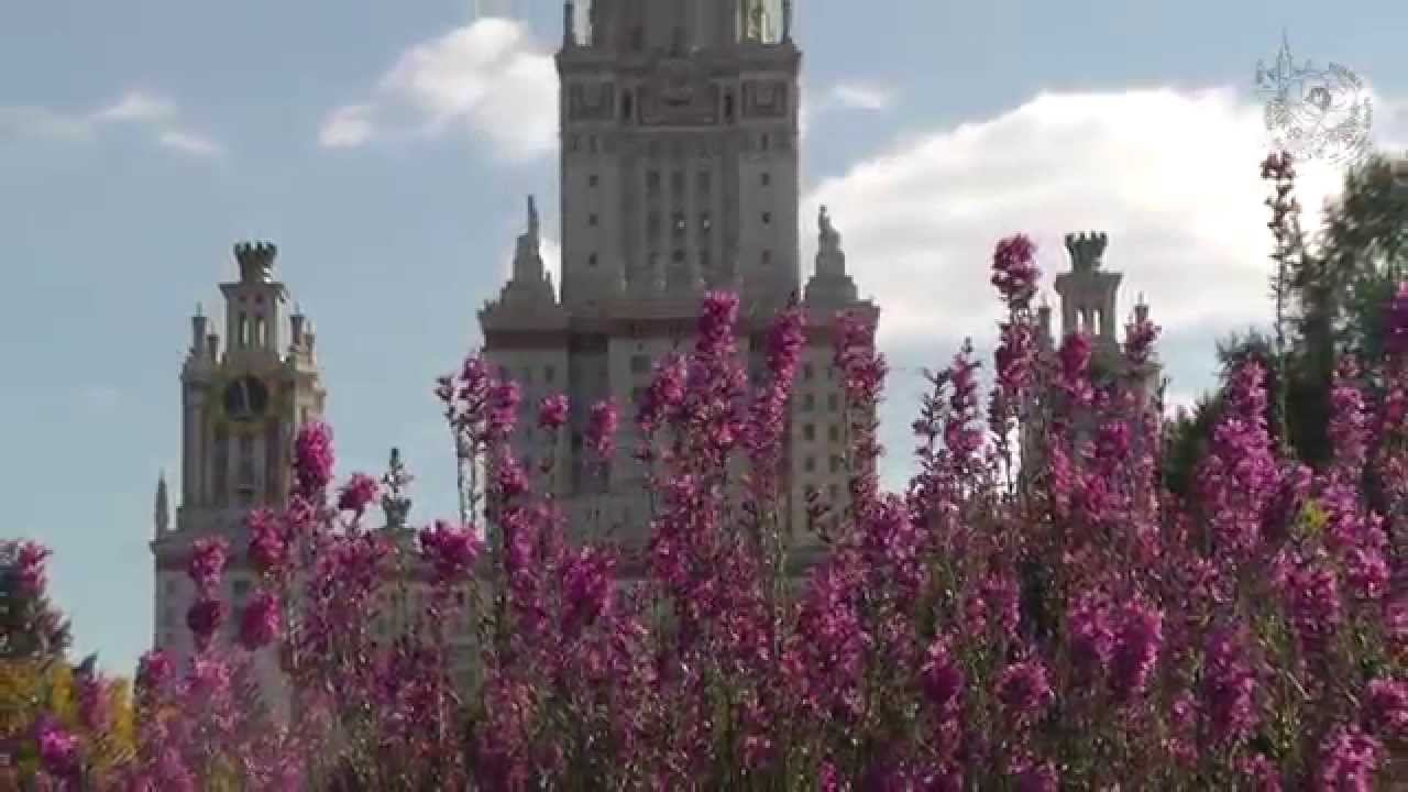 BotSad 720p смотреть онлайн