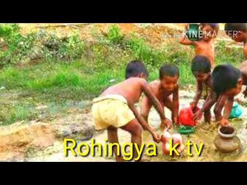 Rohingya k tv program( حالات حاضرہ )14/5/2018 смотреть онлайн