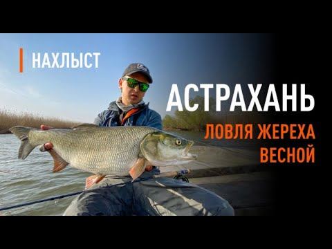 Астрахань 2021 весна. Жерех смотреть онлайн