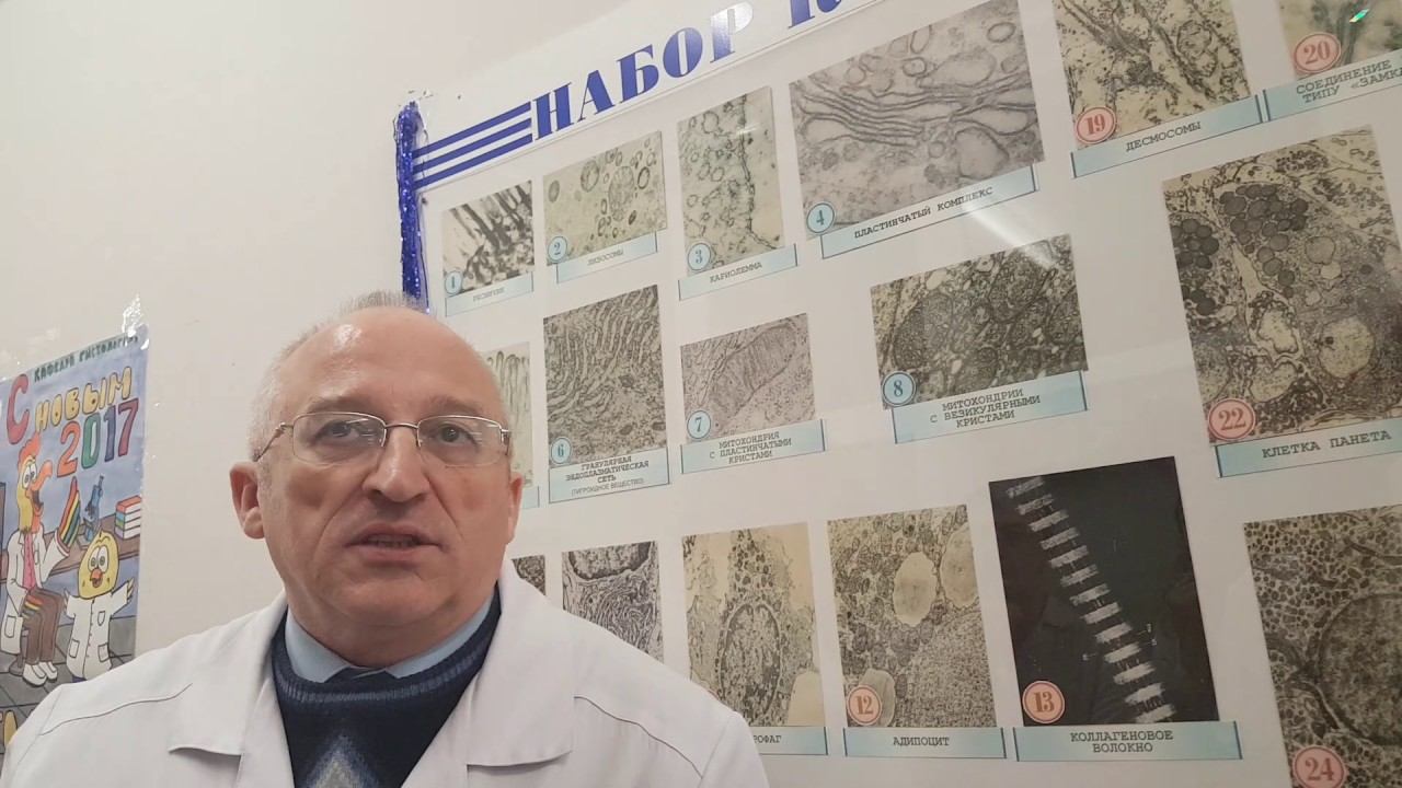 23 декабря 2016 г. смотреть онлайн