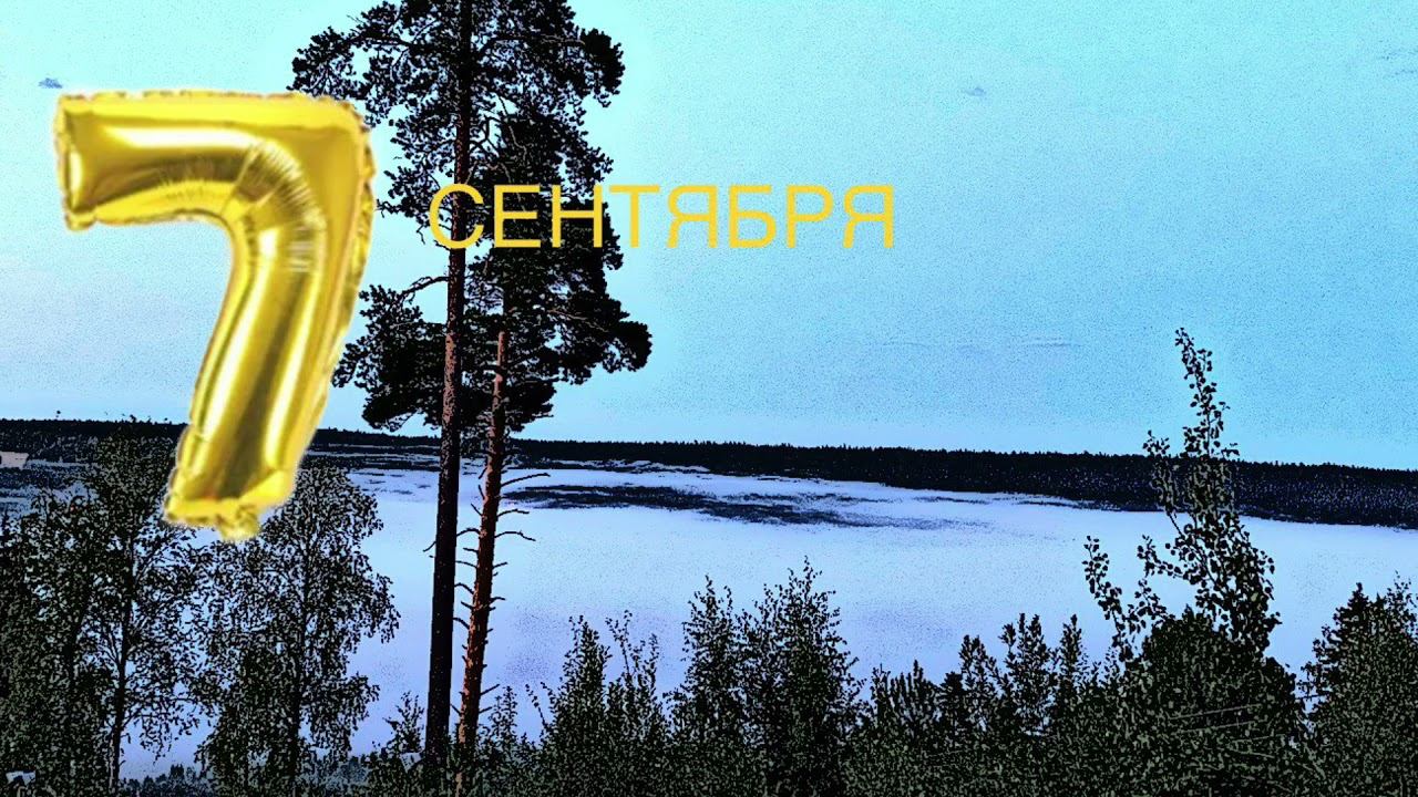 ✅7 сентября: День рассказывания летних историй; «Путешествие медвежат к лешему»✅ смотреть онлайн