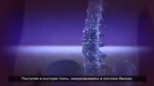 Еда 21 Века   Корзун Виталий Наумович