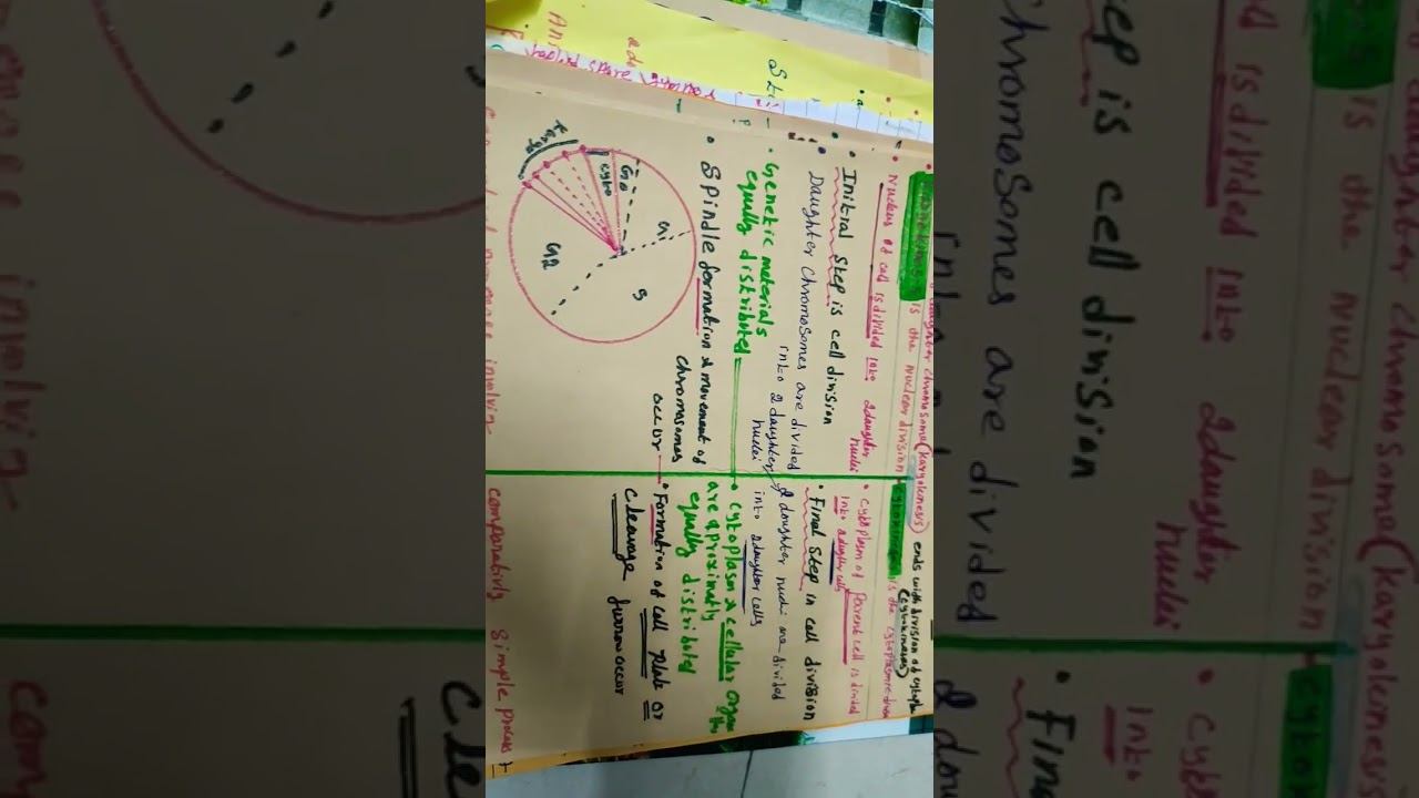 cell cycle -full notes, examples, tips and tricks смотреть онлайн